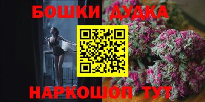 МДПВ Партизанск