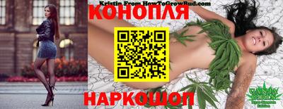 МДПВ Партизанск