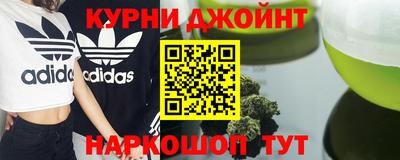 МДПВ Партизанск